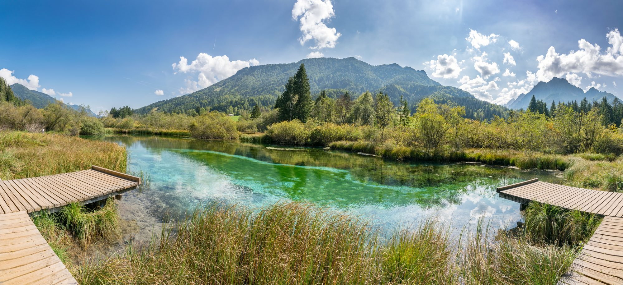 Naravni rezervat Zelenci s smaragdno zeleno vodo blizu Kranjske Gore